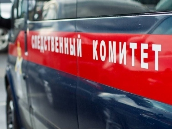 В Рязани завершилось расследование по нападению на бригаду «скорой»