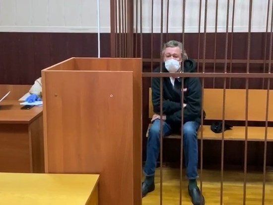 Жириновский: Ефремов должен сидеть в СИЗО, иначе он пьяный из окна выпадет