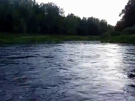 В реке в Тверской области утонула 13-летняя девочка