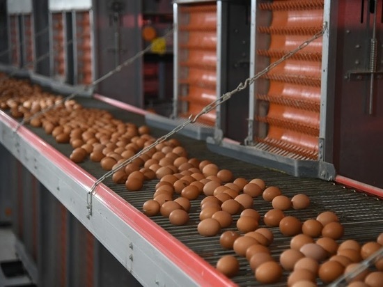 В Волгоградской области стали дешеветь сезонные овощи и яйца