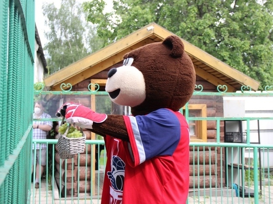 Медведь «Локомотива» пришел порадовать символ Ярославля