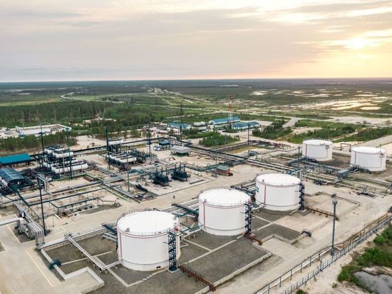 «Газпромнефть-Ноябрьскнефтегаз» добывает нефть из юрских залежей