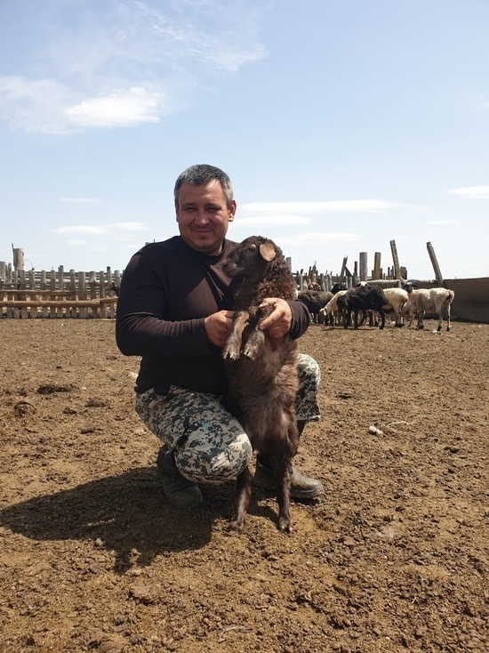 Калмыцкий фермер: «С генами степняка не поспоришь»