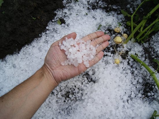 С часу на час Смоленщину накроют грозы с крупным градом, объявлен "желтый" уровень опасности
