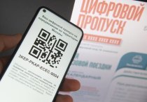 Сильному государству нет нужды затыкать полицейским кляпом несогласные рты