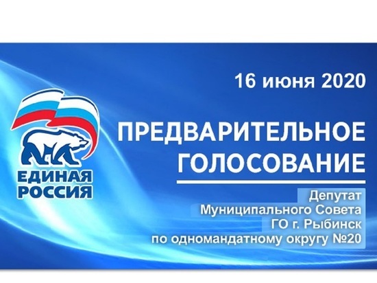 Предварительное голосование на довыборы депутата Муниципального Совета в Рыбинске назначено на 16 июня