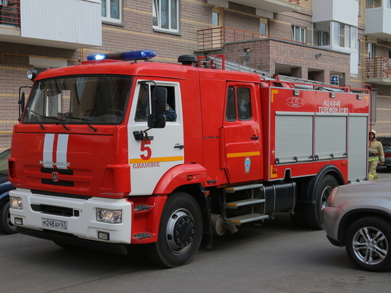 Смоленские пожарные дважды за сутки тушили забытую на плите стряпню