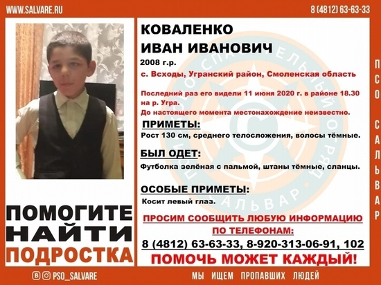 В Угранском районе Смоленской области пропал 12-летний мальчик В Угранском районе Смоленской области пропал 12-летний мальчик