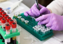 В Соединенных Штатах начаты первые испытания на людях экспериментельного «коктейля» антител для лечения коронавирусного заболевания