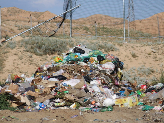 Кыргызстан решил отказаться от пластиковых пакетов