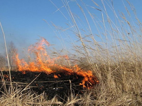 В Калмыкии сохраняется чрезвычайная пожароопасная погода