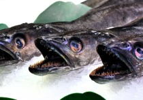 Власти Пекина решили провести тест на коронавирус 10 тыс