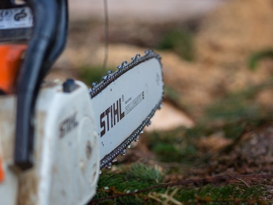 Трижды за сутки смоляне угрожали другим убийством, демонстрируя ножи и даже бензопилу