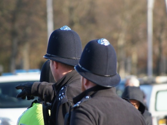 В Лондоне из-за субботних протестов пострадали более 20 полицейских