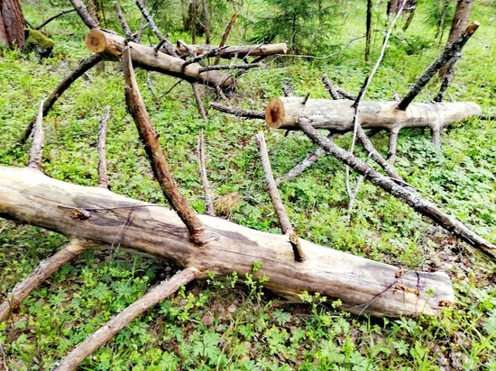 Смоленские синоптики рассказали о погоде на ближайшую неделю, и она снова обещает сюрпризы