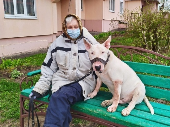 Куряне могут выбрать площадки для выгула собак