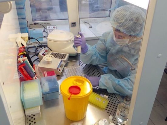 В Марий Эл сделали свыше 53,5 тысяч тестов на коронавирус
