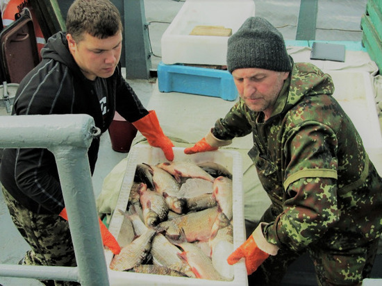 В ЯНАО начался летний сезон вылова рыбы предприятиями