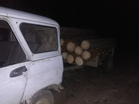 В Бурятии нашли ночного «черного» лесоруба с белым автомобилем