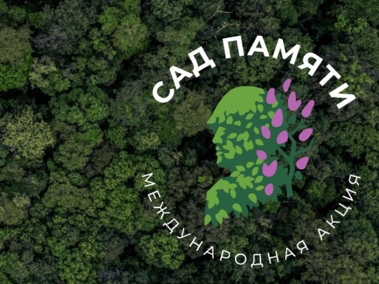 После ряда скандалов в ленточном бору Барнаула создадут Сад памяти