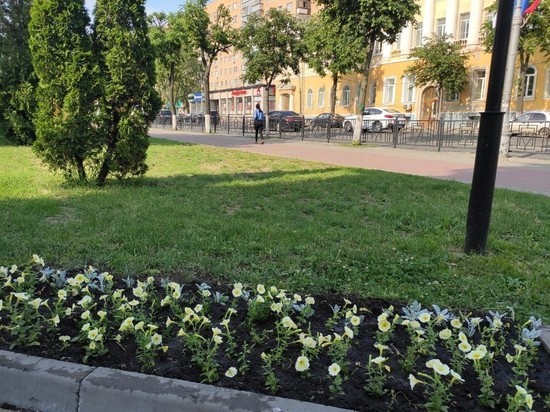 В Курске восстанавливают поредевшие от непогоды цветники