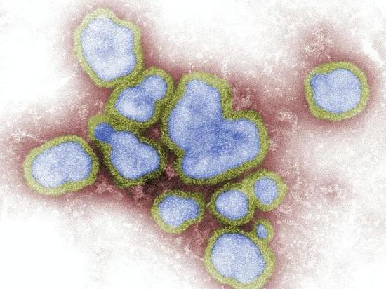 ВОЗ рассказала, как пандемия COVID-19 влияет на борьбу с гриппом