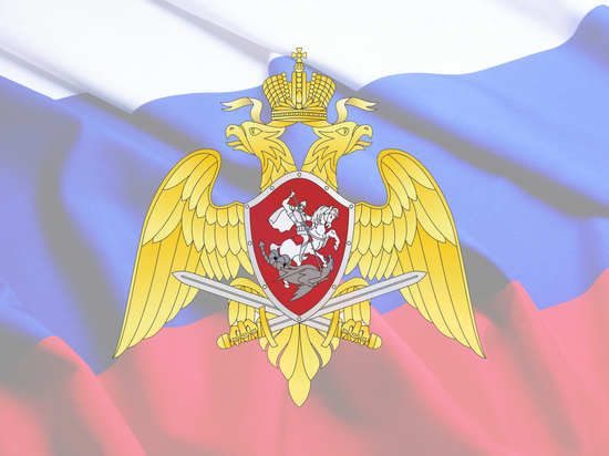 Под Рязанью росгвардеец получил ножевое ранение, защищая за девушку