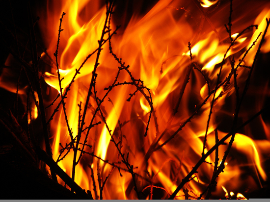 В Бурятии сухие грозы обернулись пятью лесными пожарами