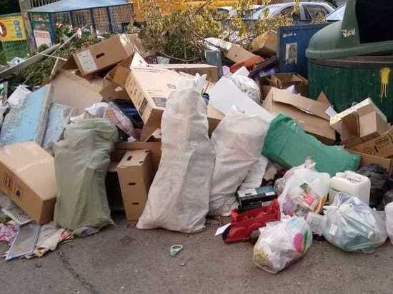 В Оренбурге на мусор во дворе можно пожаловаться
