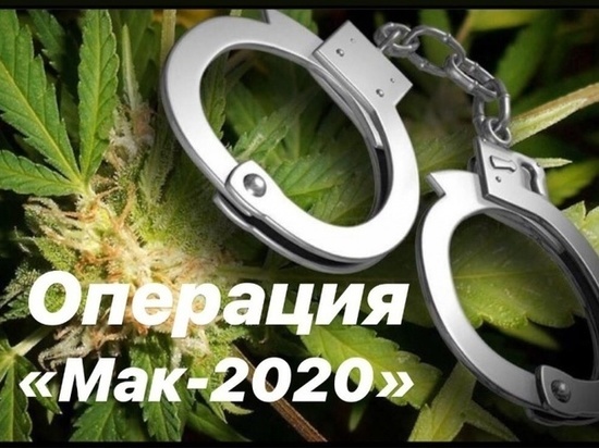 В Тамбовской области началась борьба с наркосодержащими растениями