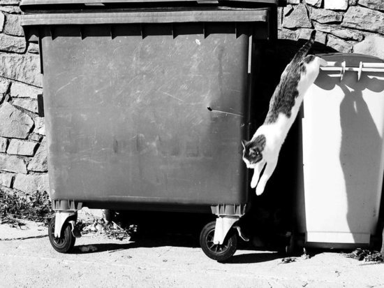 В Карелии заключенные начали делать контейнеры для  сбора мусора