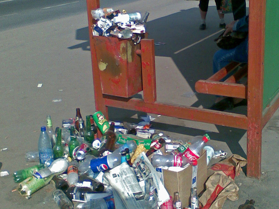 Генпрокурор РФ заявил о системных нарушениях в мусорной реформе