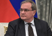 Глава СПЧ Валерий Фадеев в эфире одной из радиостанций порассуждал о чипировании и связанных с этим опасностях