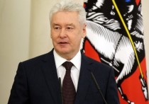 Мэр Москвы Сергей Собянин заявил, что решения о введении ограничений из-за пандемии коронавируса COVID-19 были непростыми, но обратная работа еще тяжелее