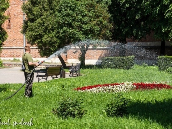 В Смоленске в жаркие дни и ночи спасают цветы и деревья