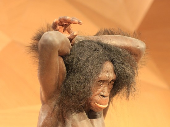 Ученые расшифровали геном неандертальца, жившего на Алтае 80 тысяч лет назад