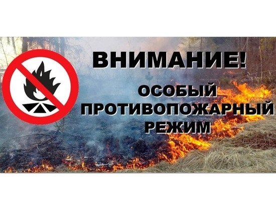 В Ярославской области введен особый противопожарный режим