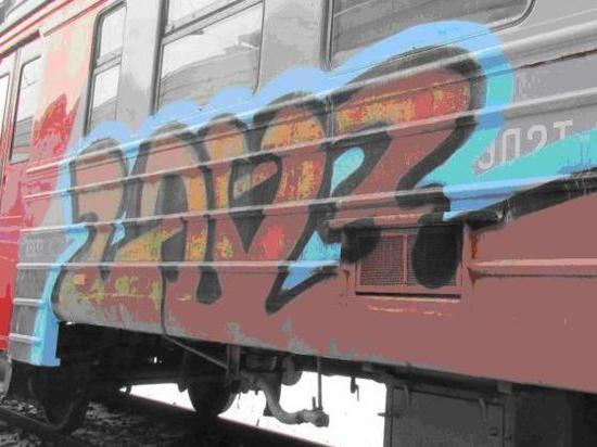 В Ярославле задержали граффитистов расписывающих вагоны электричек