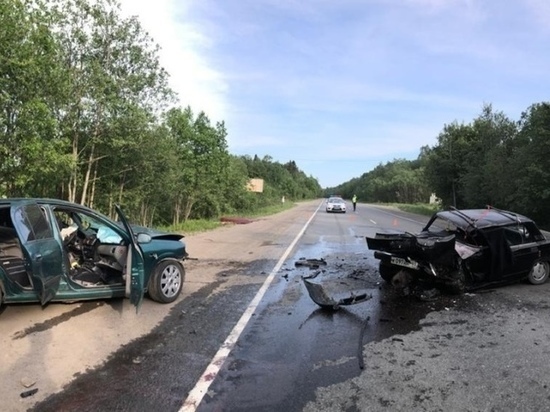 В Карелии водитель погиб в жестком ДТП