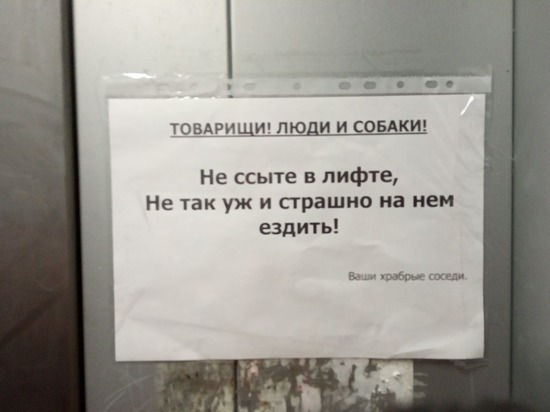 В Пскове в подъезде многоэтажки появилось забавное обращение к хулиганам В Пскове в подъезде многоэтажки появилось забавное обращение к хулиганам