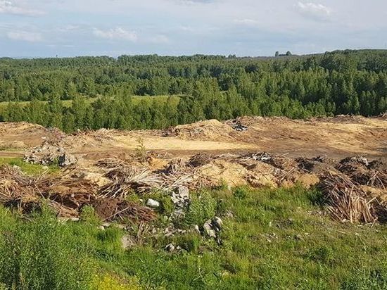 Активисты создали петицию против мусорного полигона под Красноярском