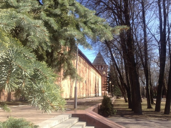 Городские депутаты хотят повысить премии юным талантам Смоленска