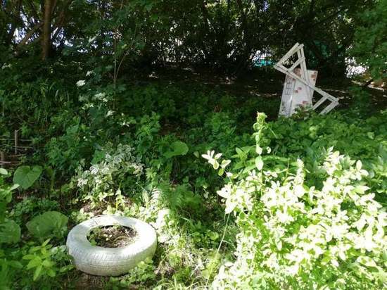 Какой погоды ждать смолянам на выходных