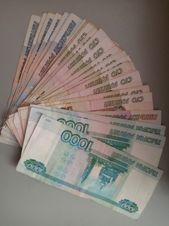 За 24 часа у жителей Оренбургской области украли почти два миллиона рублей