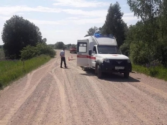 Велосипедист попал под колёса грузовика в Псковском районе Велосипедист попал под колёса грузовика в Псковском районе
