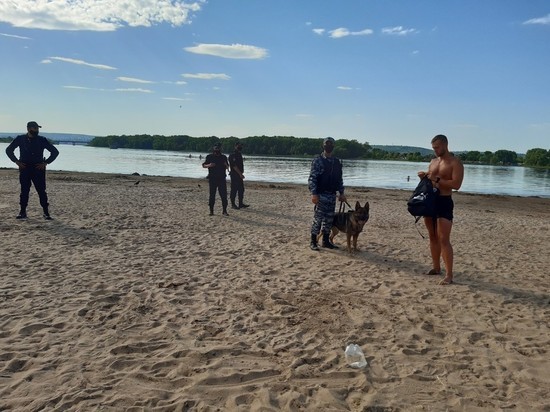 Под Саратовом силовики с собаками разогнали отдыхающих с городского пляжа: фото