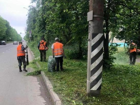 В Иванове полным ходом идет работа по выкашиванию газонов