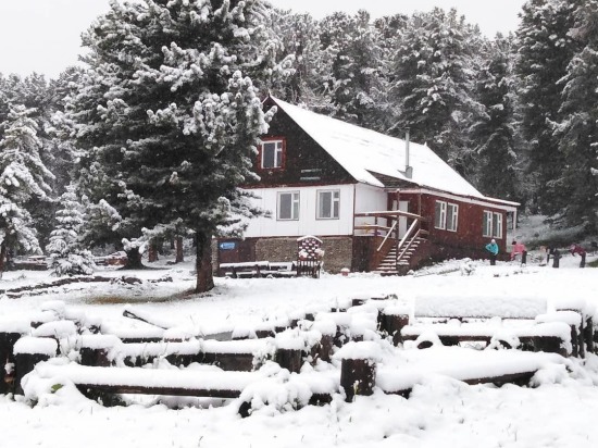 В середине лета на Алтае выпал снег