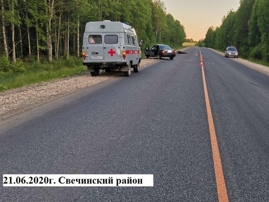 В Свечинском районе в ДТП пострадали два человека и лось