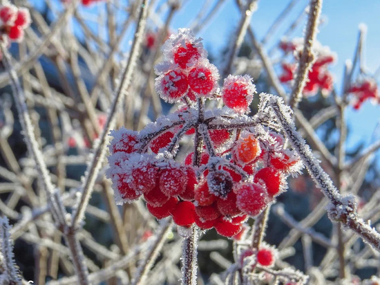 Оренбургскую область ожидает понижение дневной температуры